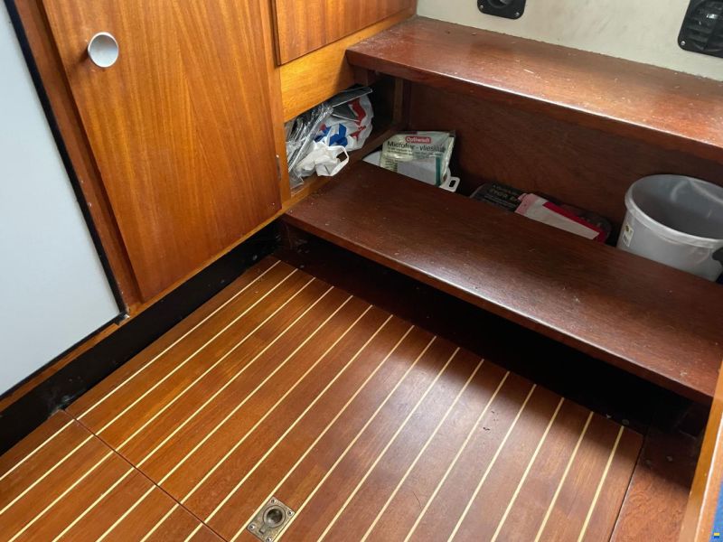 Coronet 32 Wing