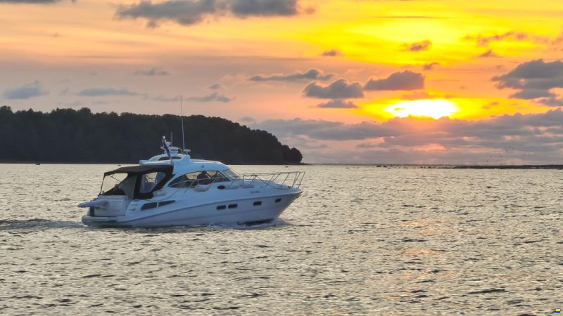 Sealine C39