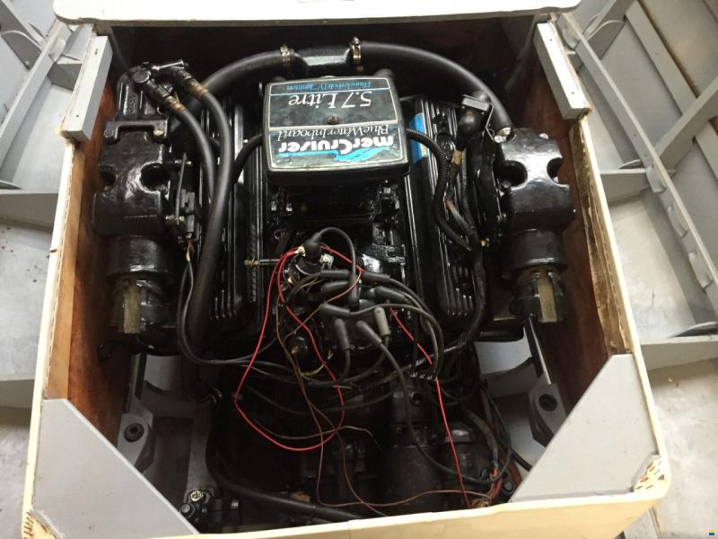 Riva Junior