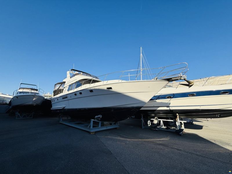 Neptunus 145 Flybridge