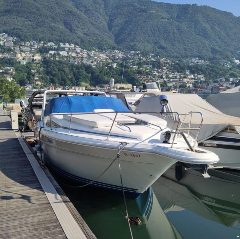 Sea Ray 310 DA