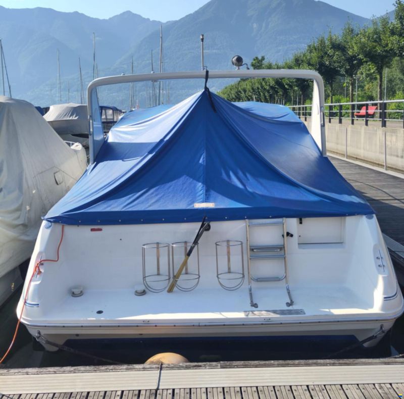 Sea Ray 310 DA
