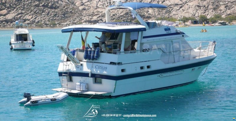 Tarquin TRADER 44