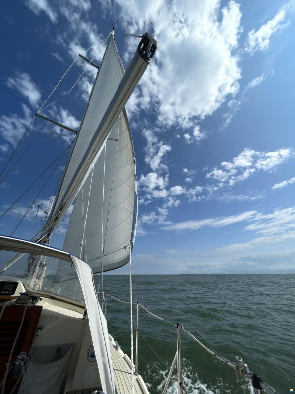 Southerly 115