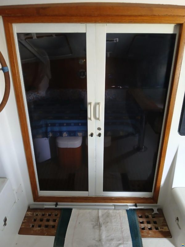 Alliaura Privilege 37