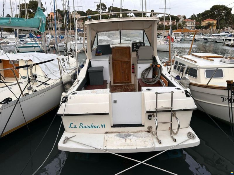 Coronet 26