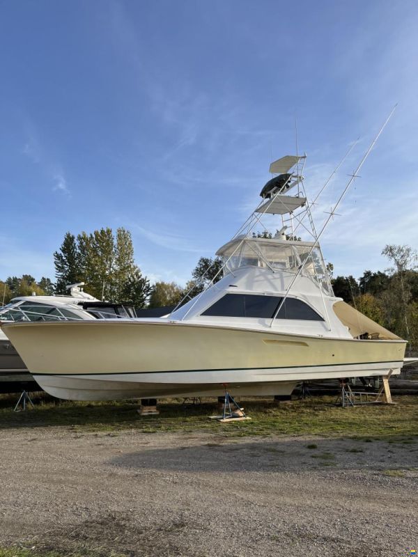 48 Sport Fish