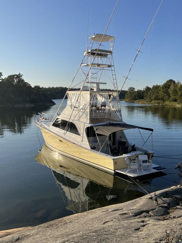 48 Sport Fish
