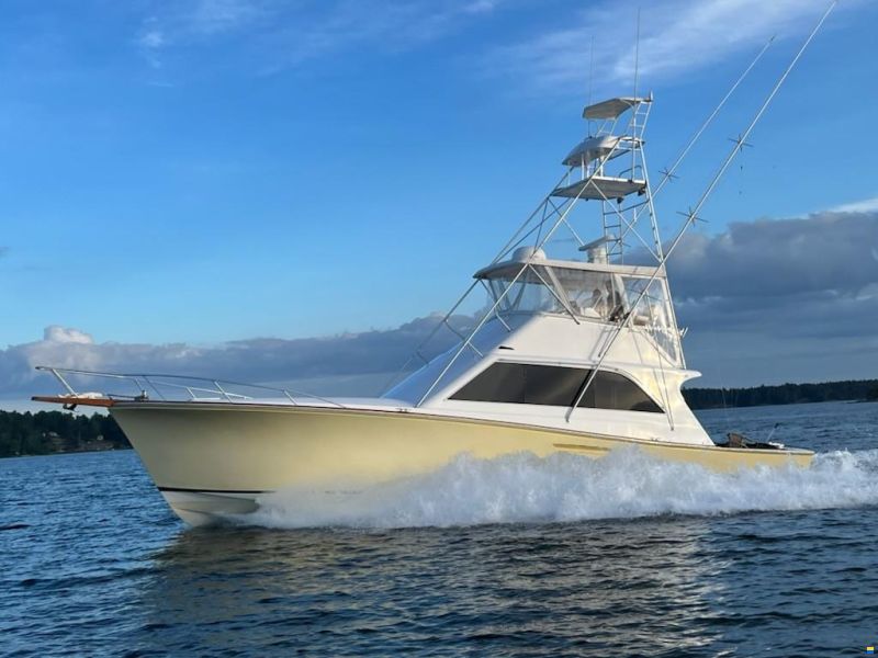 48 Sport Fish