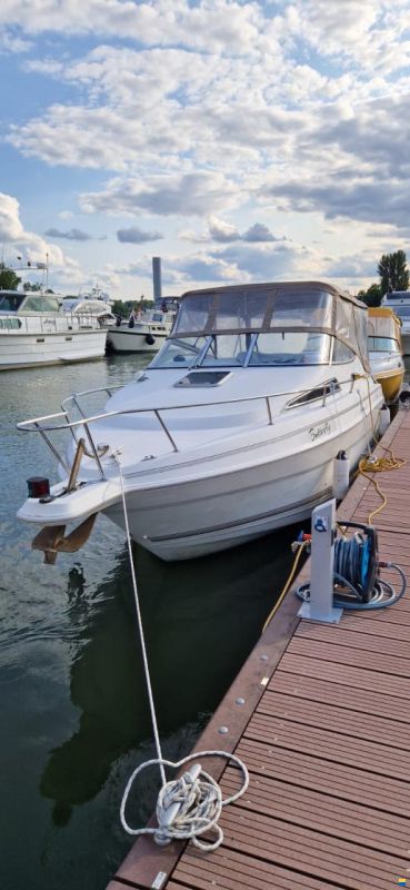 Wellcraft Excel 23 E