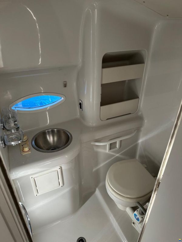 Chris Craft 262 Crowne
