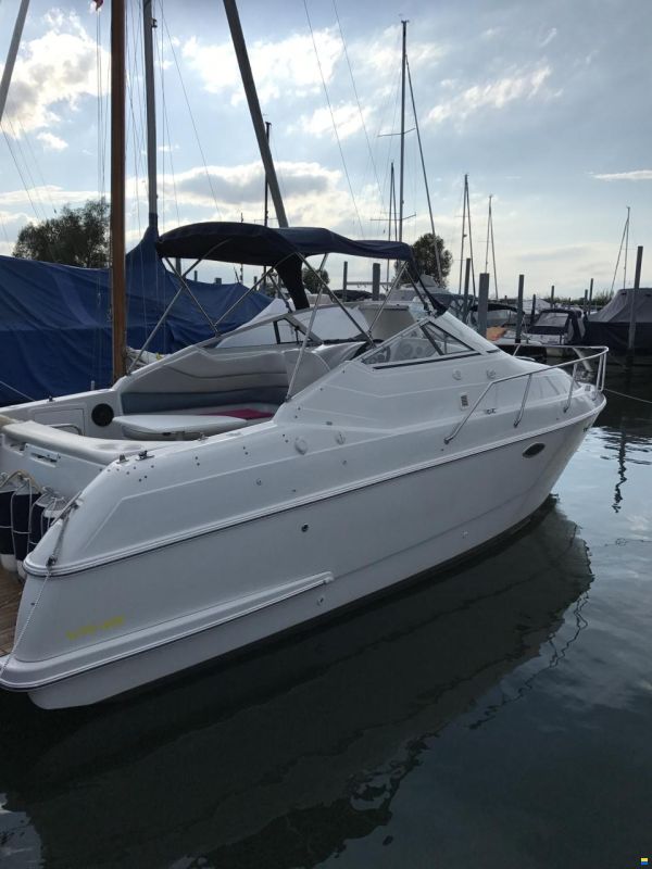 Chris Craft 262 Crowne