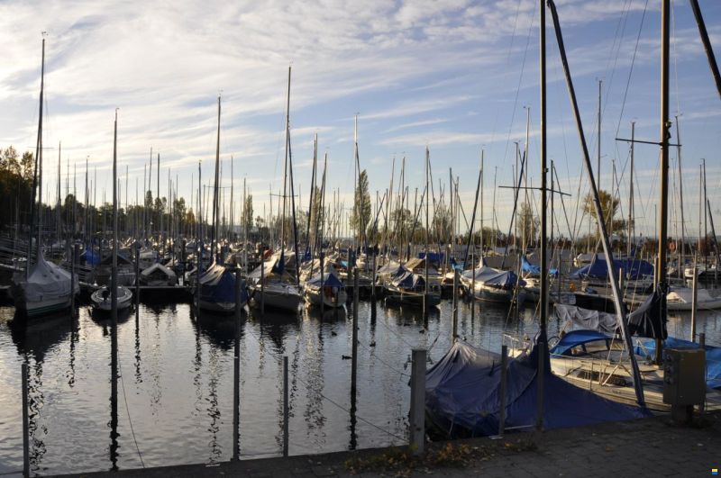 Cranchi Pelican 21