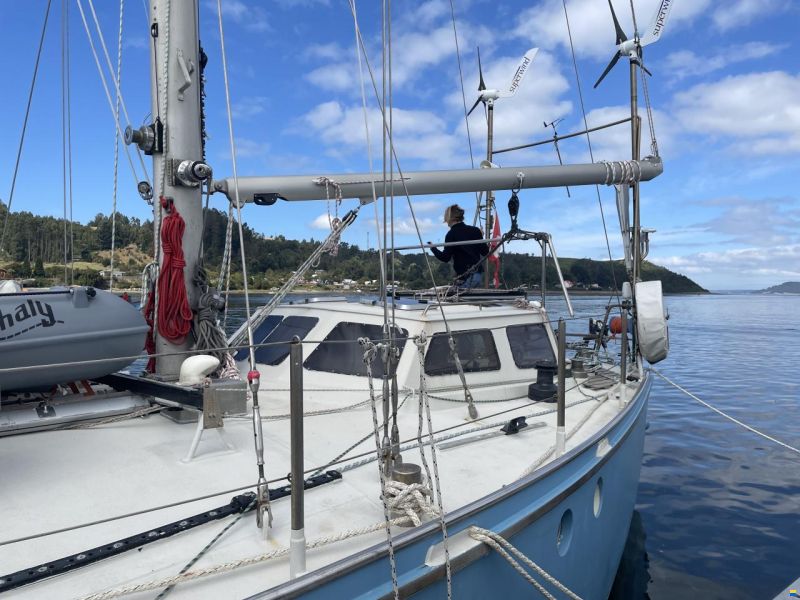 Damien II Schooner 49