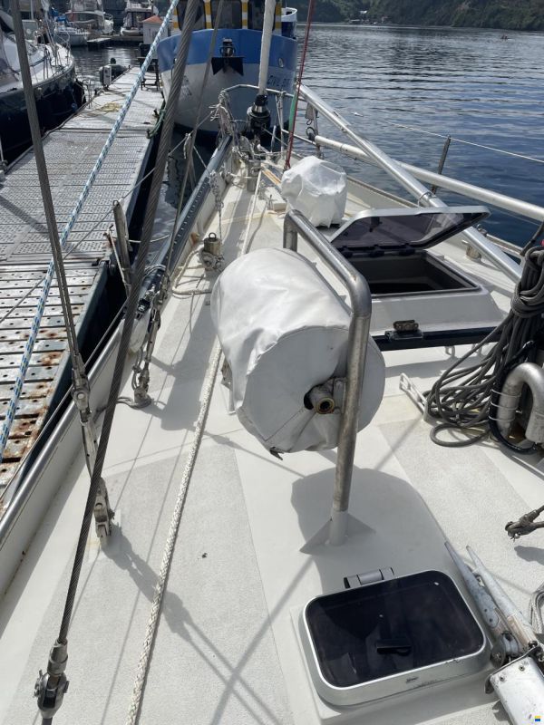 Damien II Schooner 49