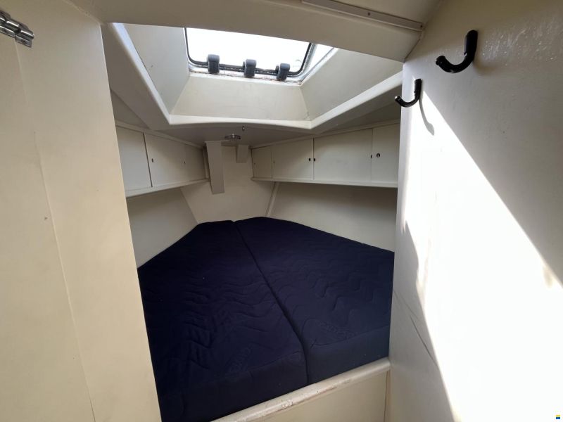 Damien II Schooner 49