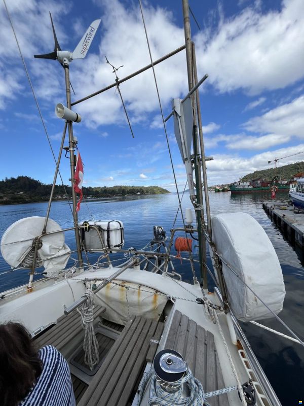 Damien II Schooner 49