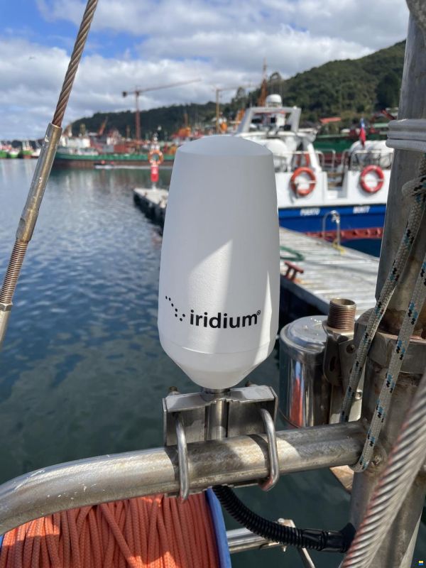 Damien II Schooner 49