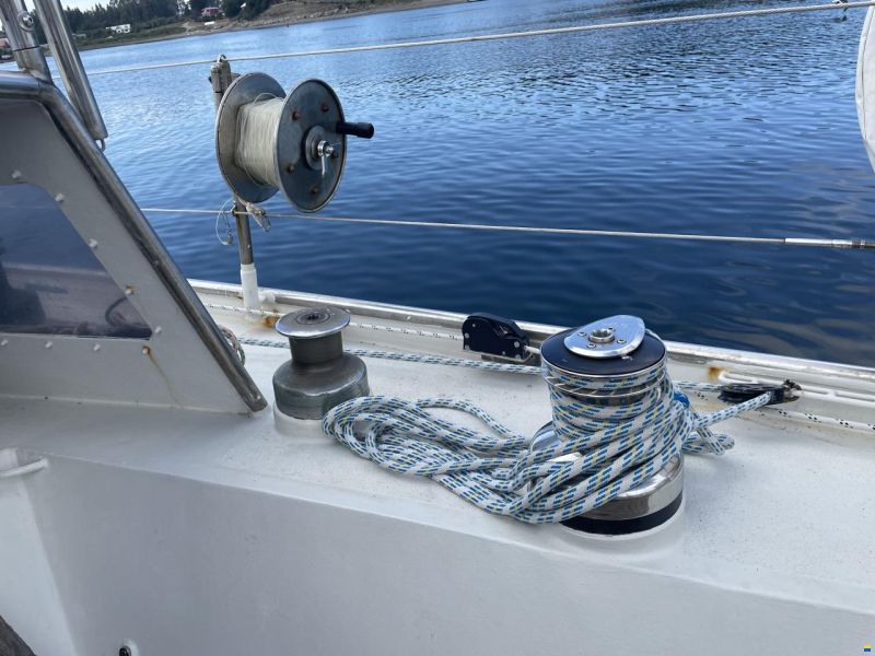 Damien II Schooner 49