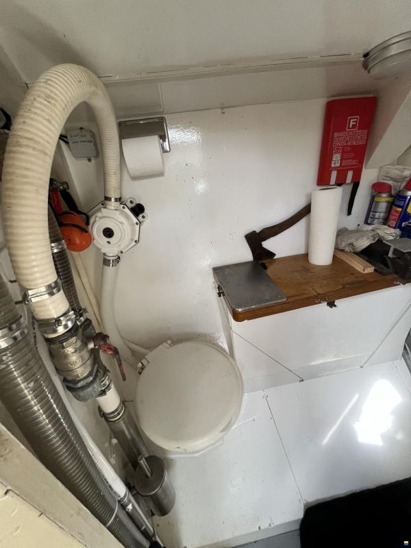 Damien II Schooner 49