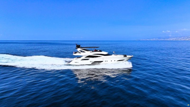Dominator 800