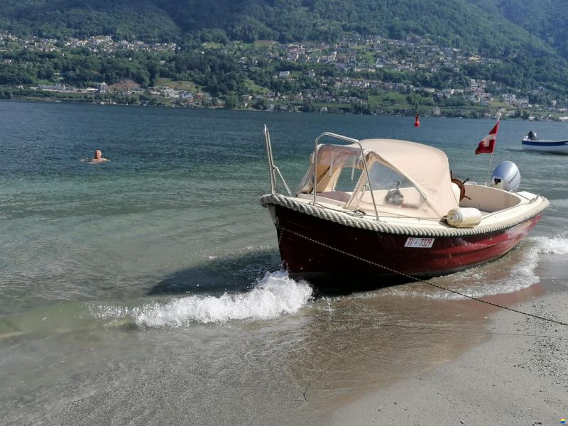 Corsiva 490