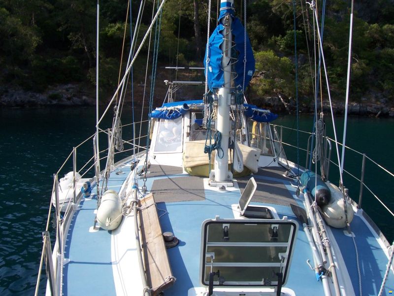 Bruce Roberts 40