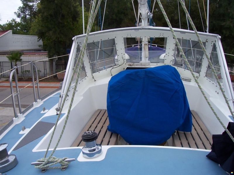 Bruce Roberts 40