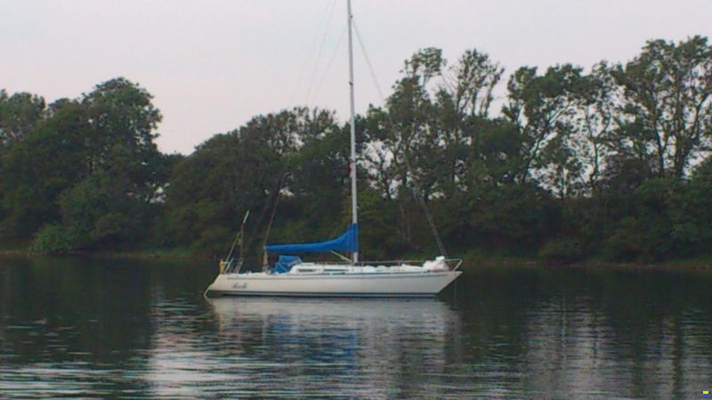 Larsen 34