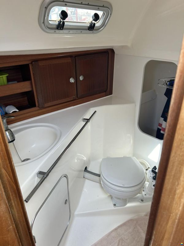 Bavaria 35 Exclusive