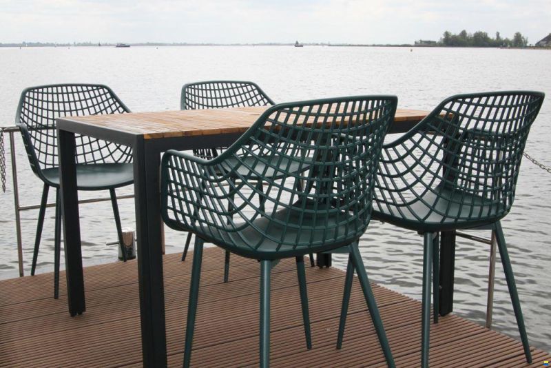 Houseboat Friesland 12.75 X 4.50 (inboar