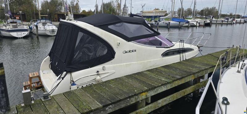 Gobbi 245 Cabin