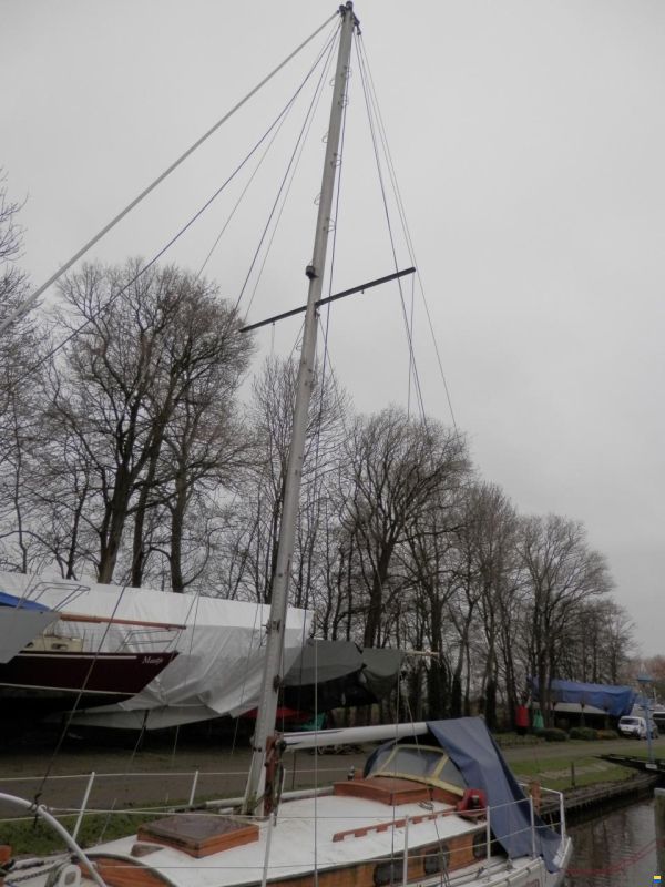 Golden Hind 31