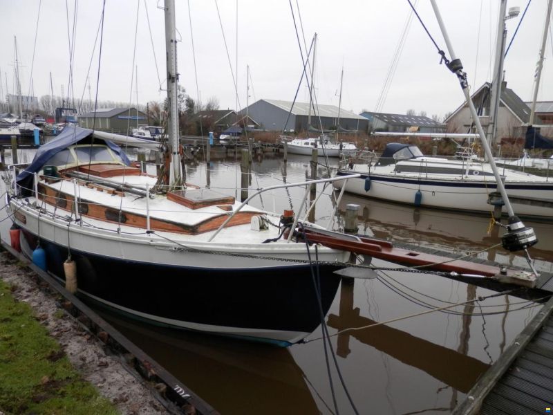 Golden Hind 31