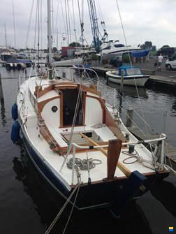 Golden Hind 31