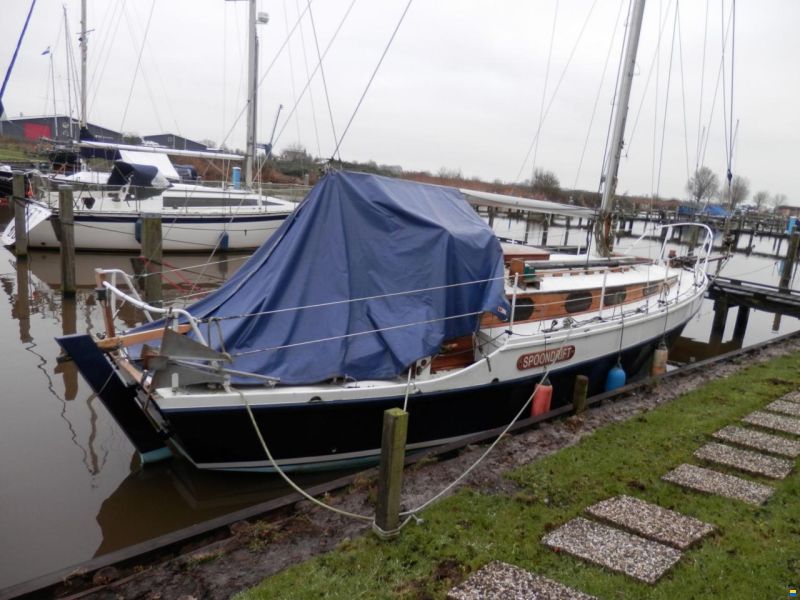 Golden Hind 31