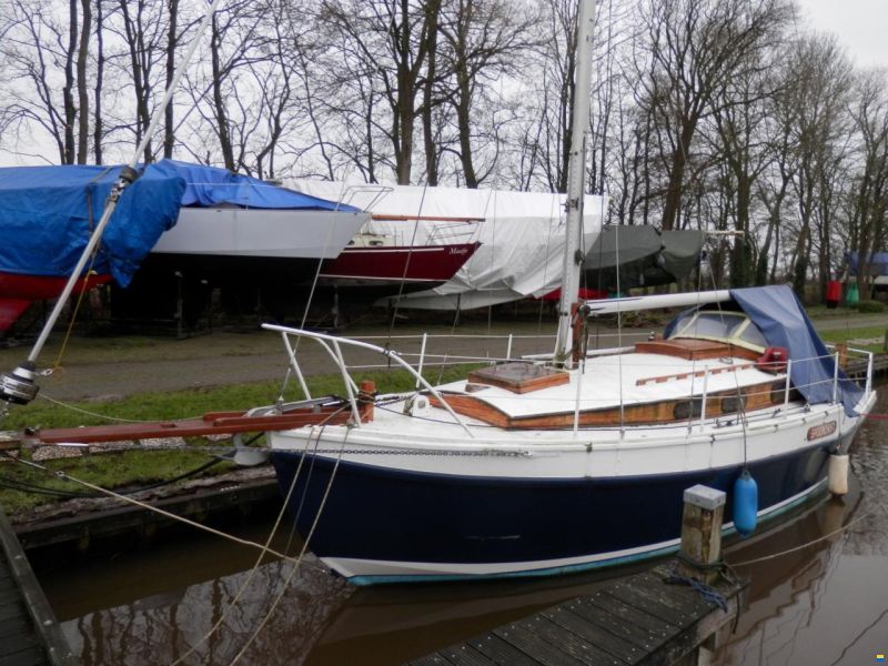 Golden Hind 31