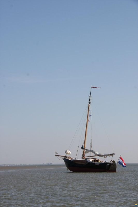 Zeeschouw 9.90