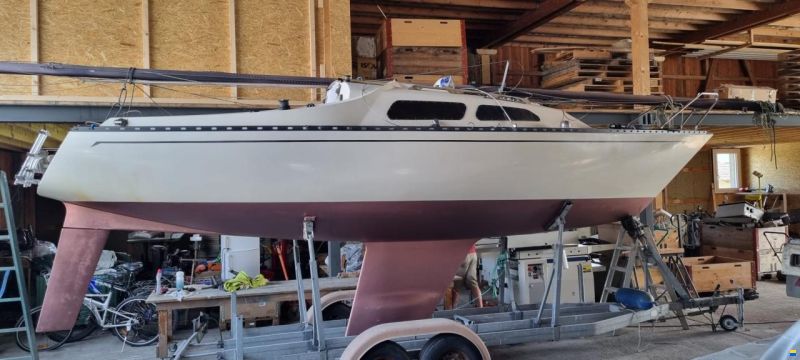 Larsen L23