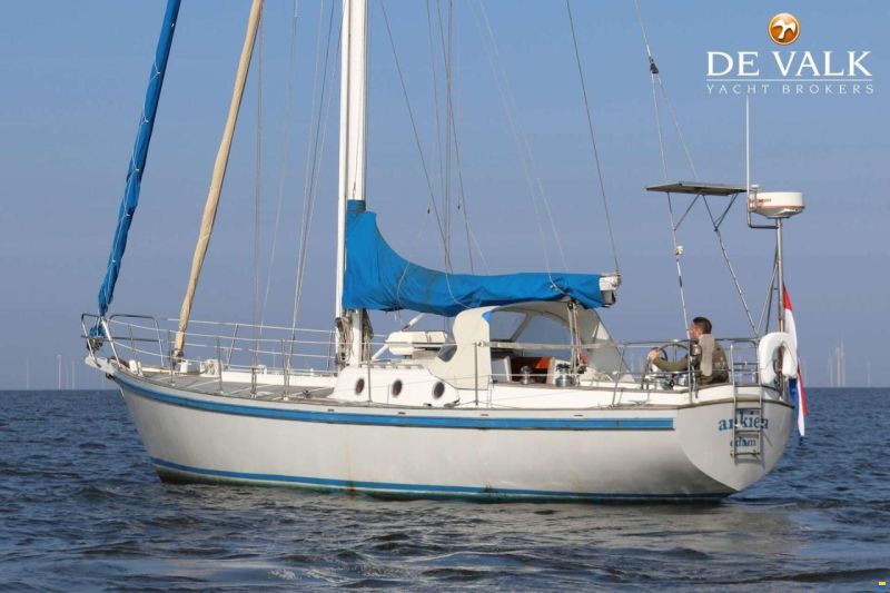 Koopmans 42