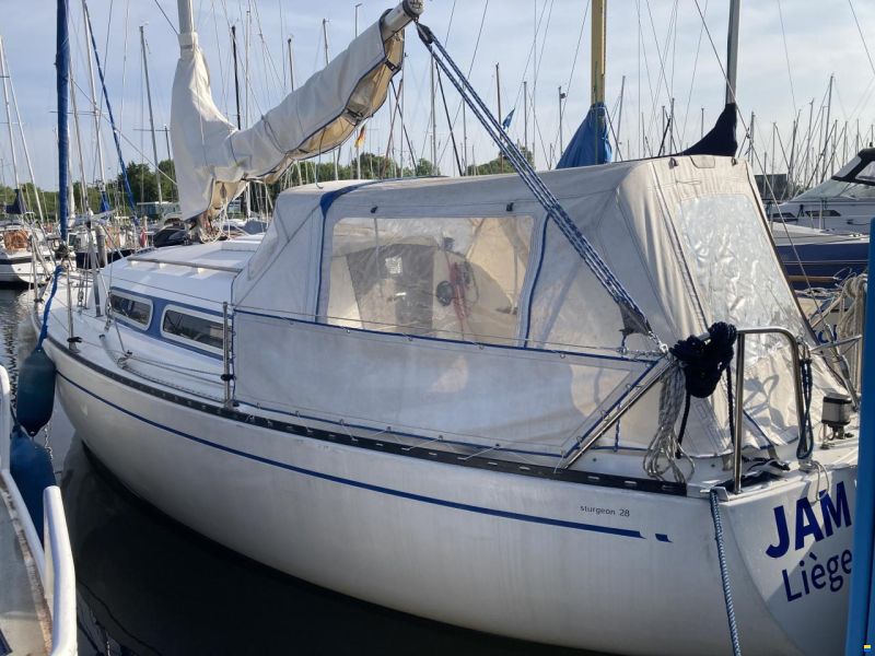Sturgeon  28