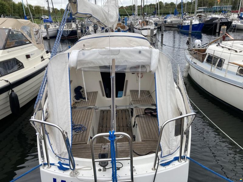 Sturgeon  28