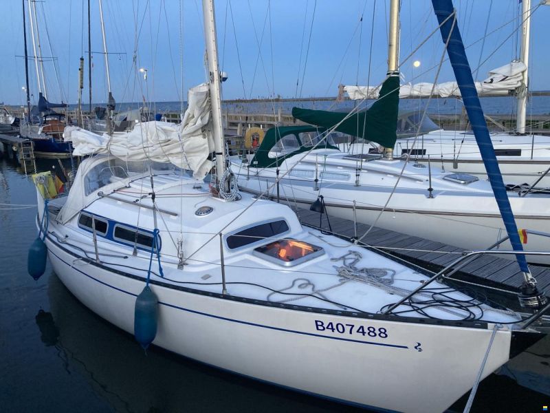 Sturgeon  28