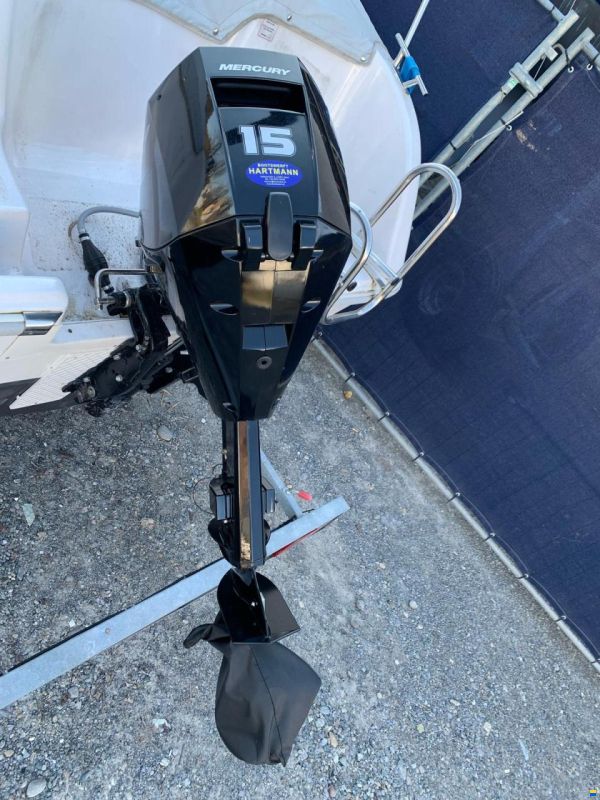 Mercury F15 ELPT EFI