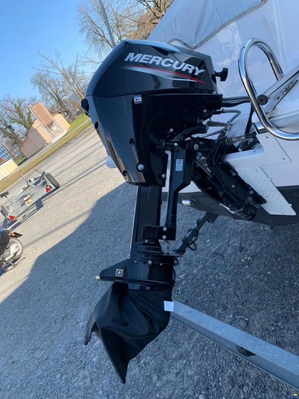 Mercury F15 ELPT EFI