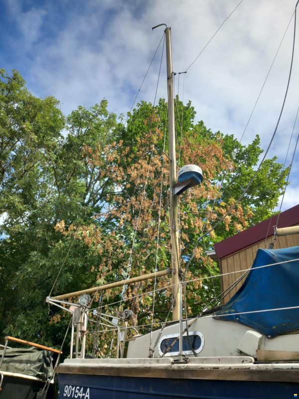McWester Ketch Mk2