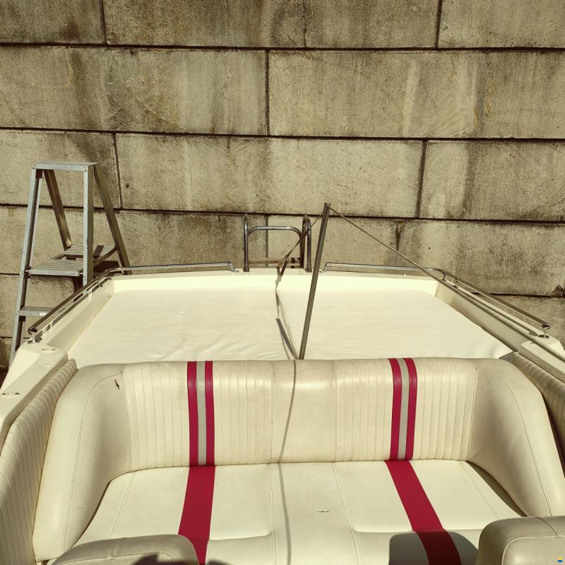 Petteruti Shark 21