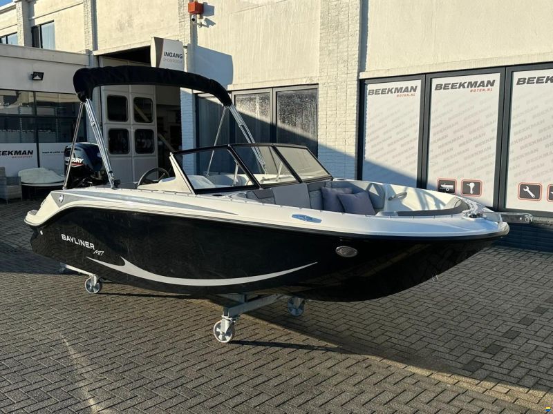 Bayliner Element M17