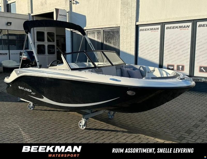 Bayliner Element M17