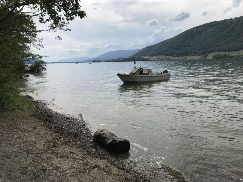 Thoma T600 Fischer ST